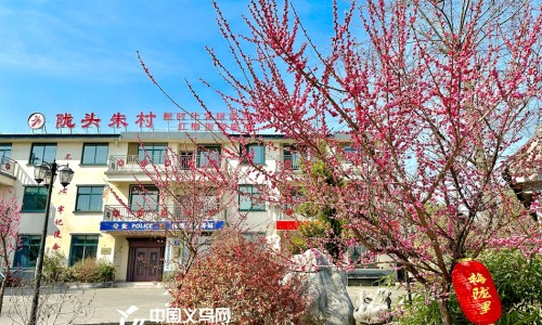加菲猫疫苗多少钱一针-加菲猫疫苗多少钱一针、加菲猫多大 -加菲猫几个月打疫苗网