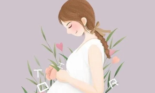 加菲猫疫苗多少钱一针、加菲猫多大 -加菲猫几个月打疫苗网