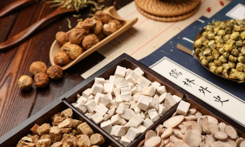 加菲猫长多大就不长了-加菲猫疫苗多少钱一针、加菲猫多大 -加菲猫几个月打疫苗网